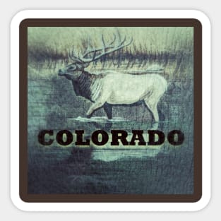 Colorado Elk Sticker